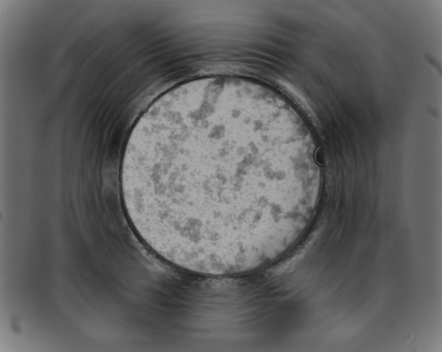 X0000096951041200803071023