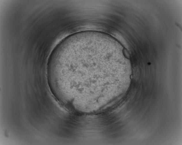 X0000096951043200803071024