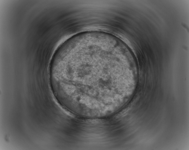 X0000096951045200803071024
