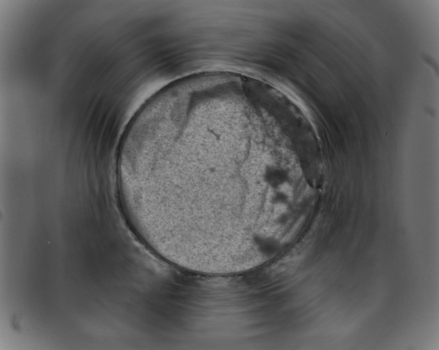 X0000096951048200803071024