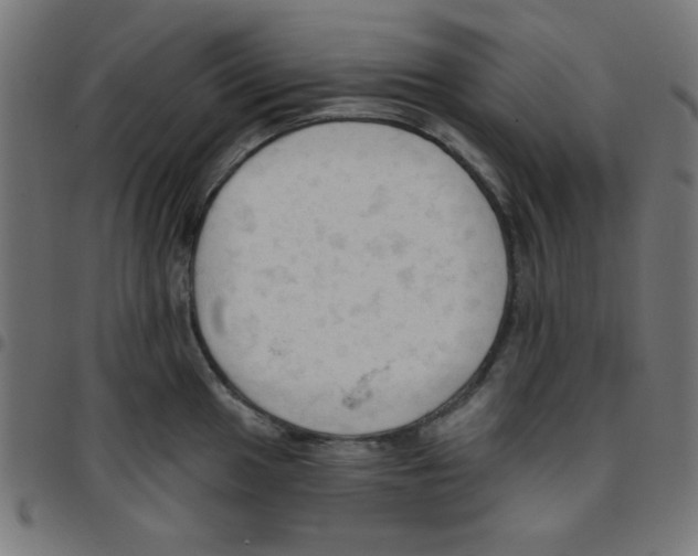 X0000096951049200803071024