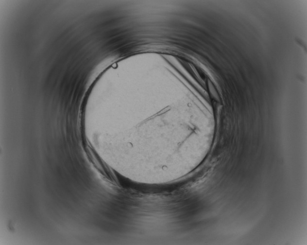 X0000096951050200803071024