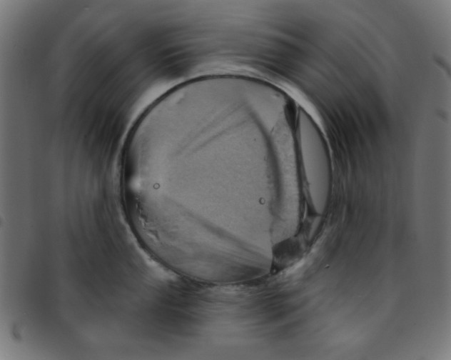 X0000096951053200803071024