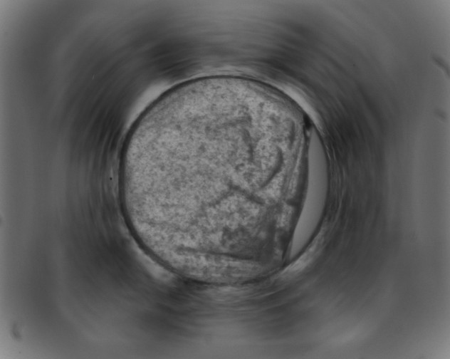 X0000096951054200803071024