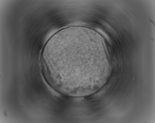 X0000096951055200803071024