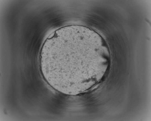 X0000096951056200803071024