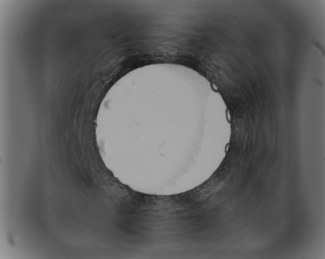 X0000096951057200803071023