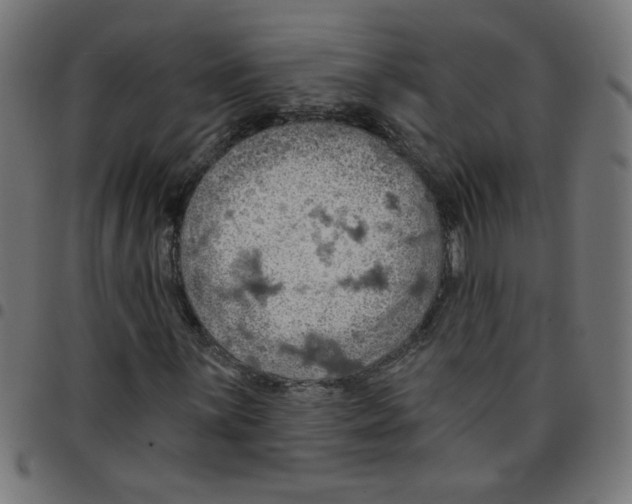 X0000096951059200803071023