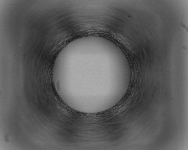 X0000096951060200803071023