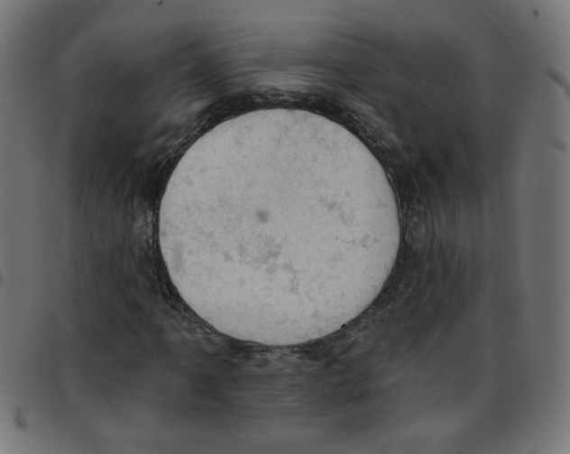 X0000096951061200803071023