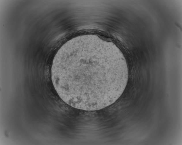 X0000096951062200803071023