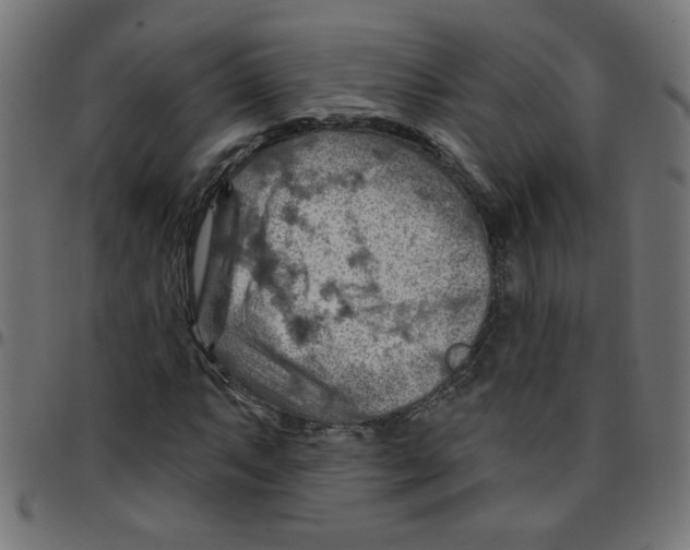 X0000096951063200803071023