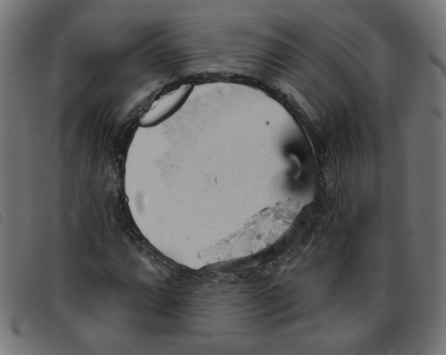 X0000096951064200803071023
