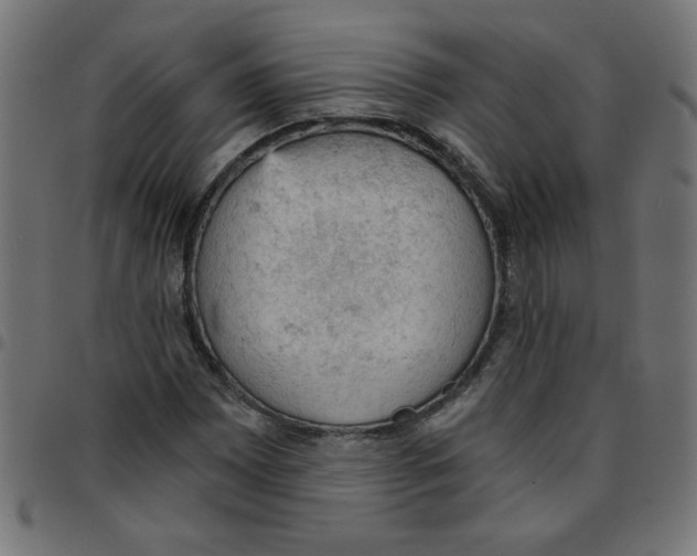 X0000096951065200803071023
