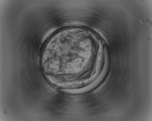 X0000096951066200803071023