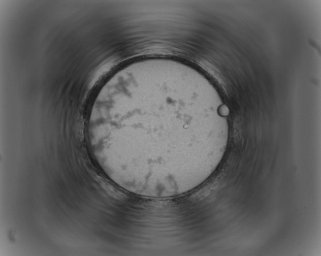 X0000096951067200803071023