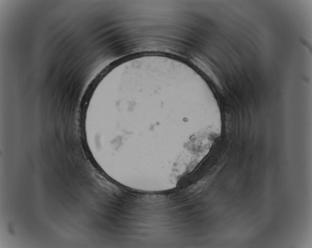 X0000096951068200803071023