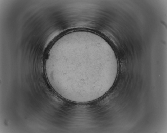 X0000096951069200803071023