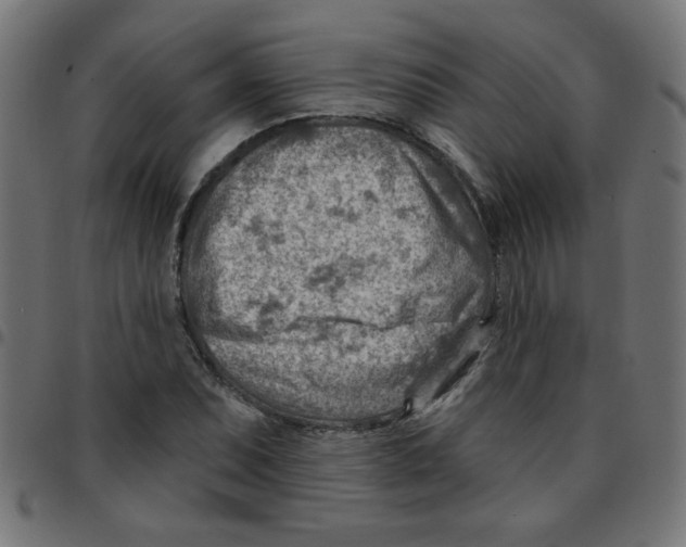 X0000096951071200803071023
