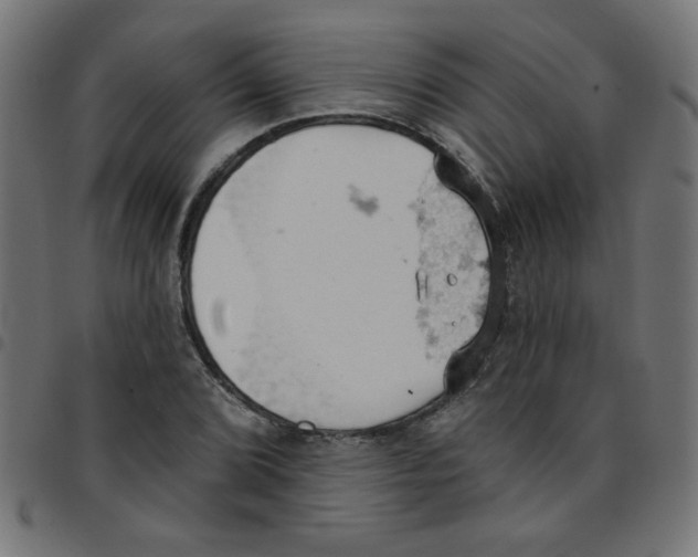 X0000096951072200803071023