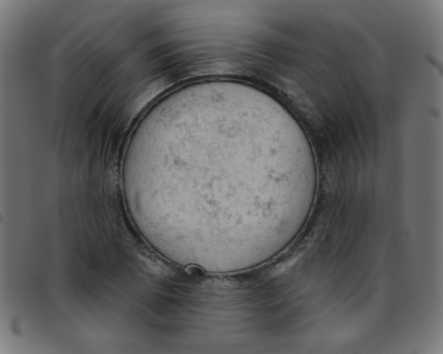 X0000096951073200803071023