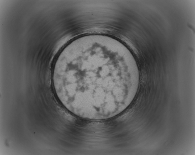 X0000096951075200803071023