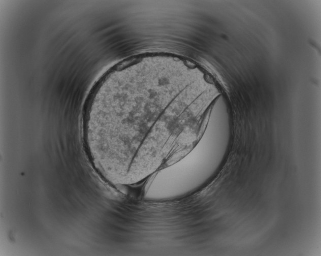 X0000096951076200803071023