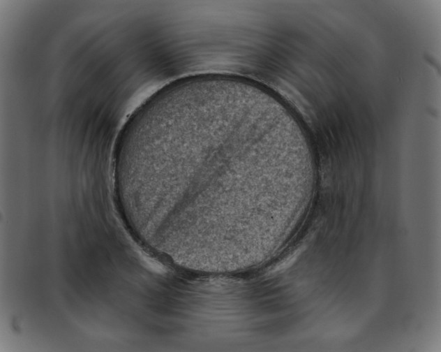 X0000096951077200803071023
