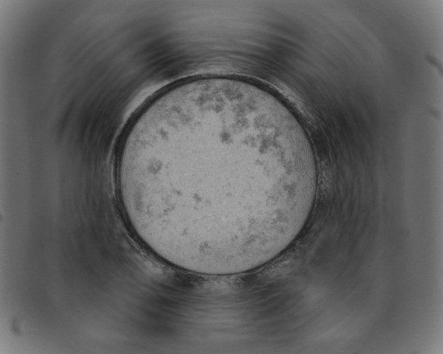 X0000096951078200803071023