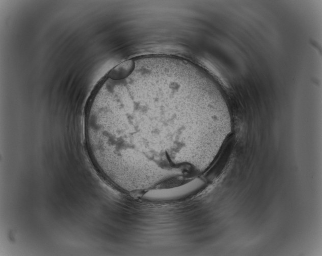 X0000096951079200803071023