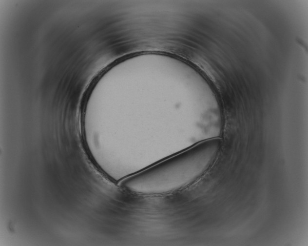 X0000096951080200803071023