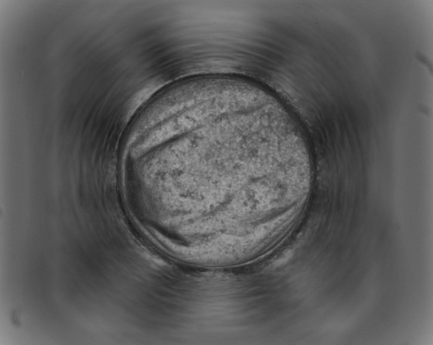 X0000096951081200803071023