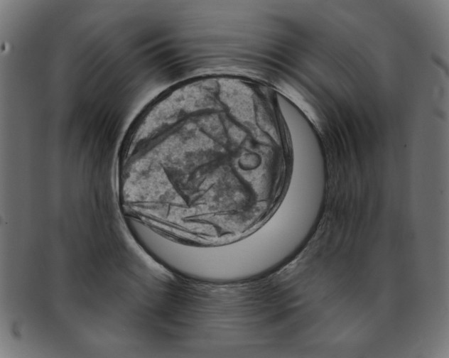 X0000096951084200803071023