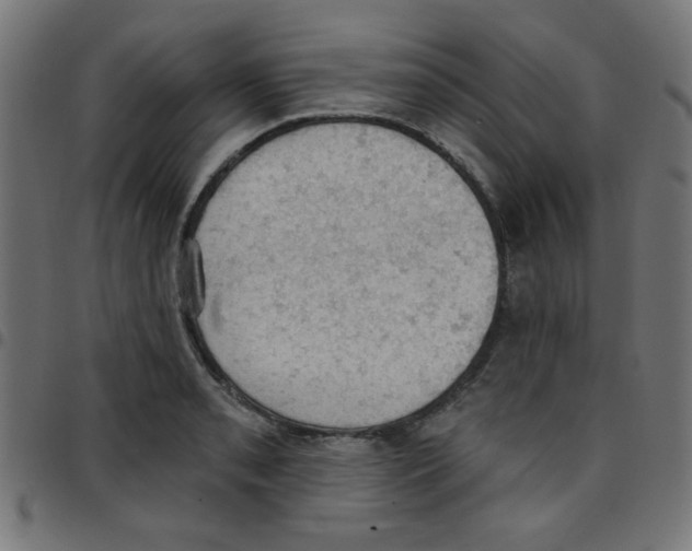 X0000096951085200803071023