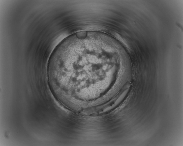 X0000096951087200803071023