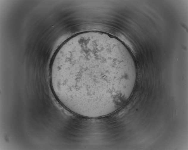 X0000096951088200803071023