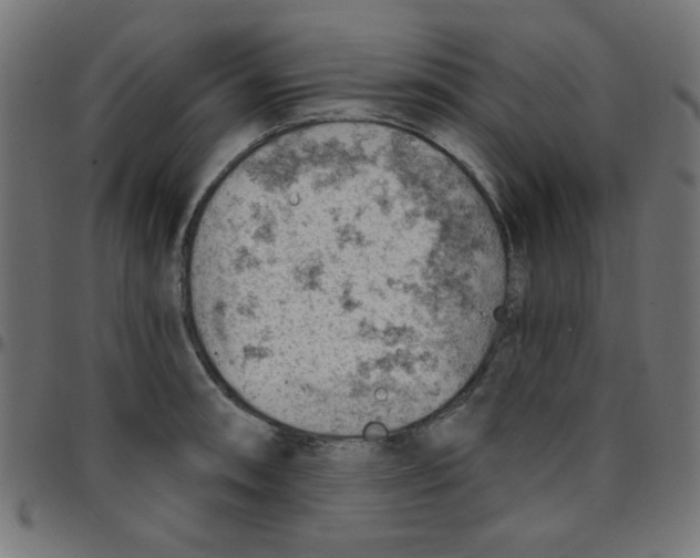X0000096951090200803071023