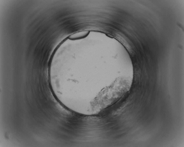X0000096951092200803071022