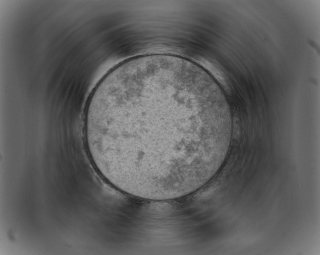 X0000096951094200803071022
