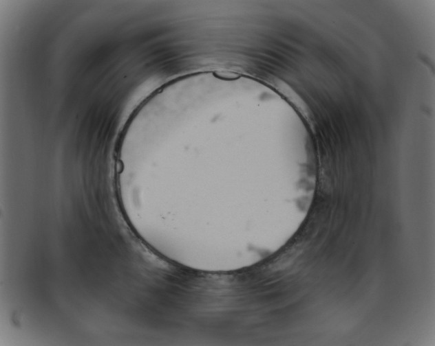 X0000096951096200803071022