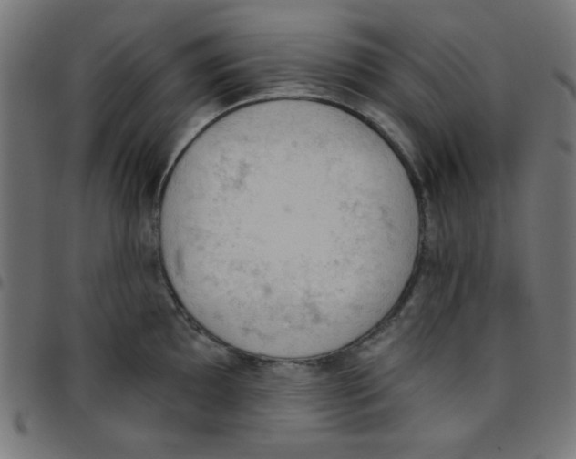 X0000096951097200803071022