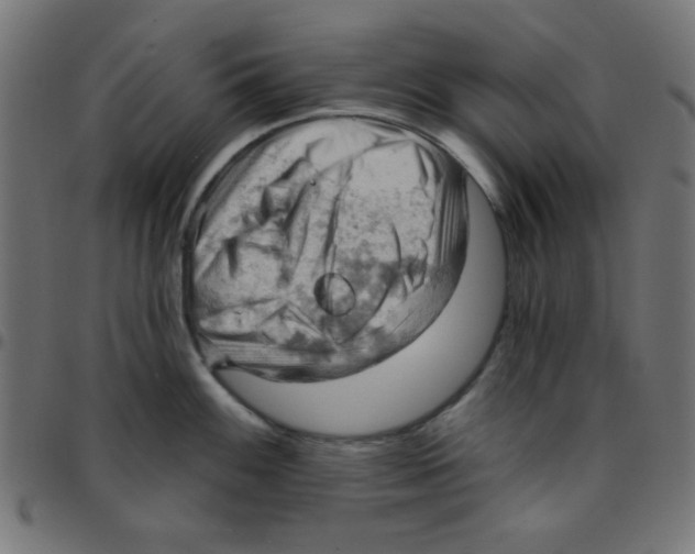 X0000096951100200803071022