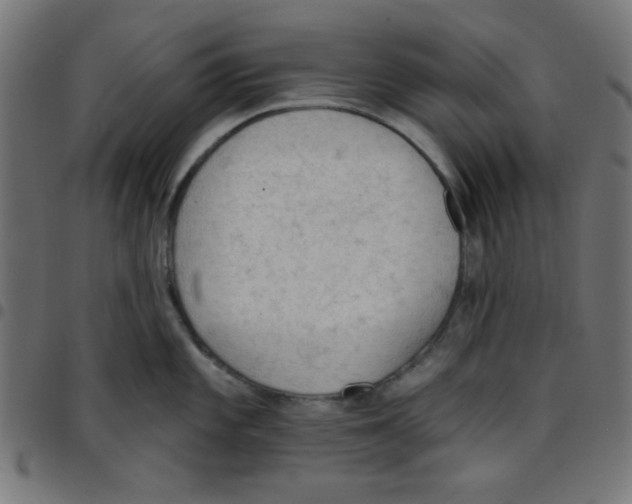 X0000096951101200803071022