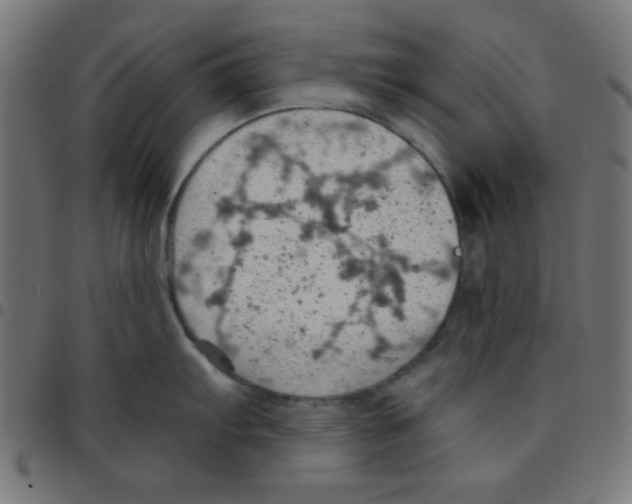 X0000096951103200803071022