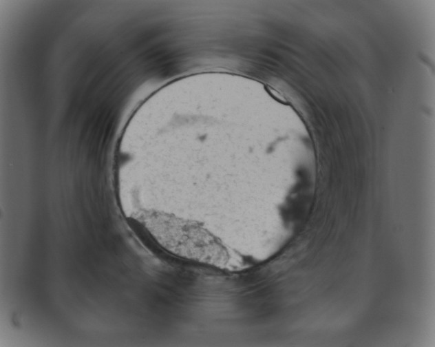 X0000096951104200803071022