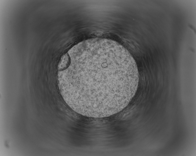 X0000096951105200803071022