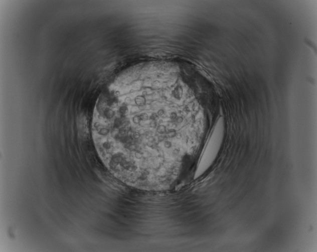 X0000096951106200803071022