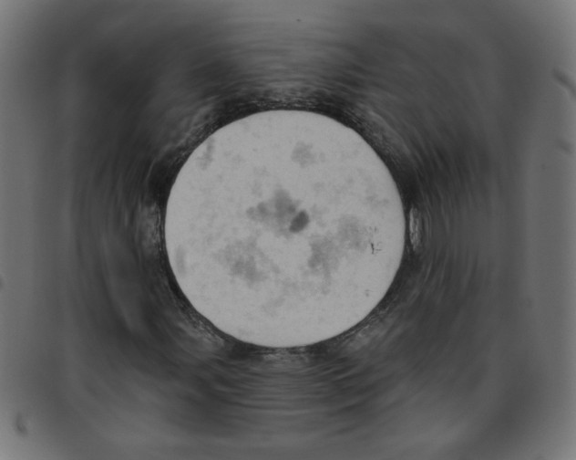 X0000096951107200803071022