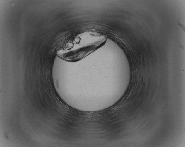 X0000096951108200803071022