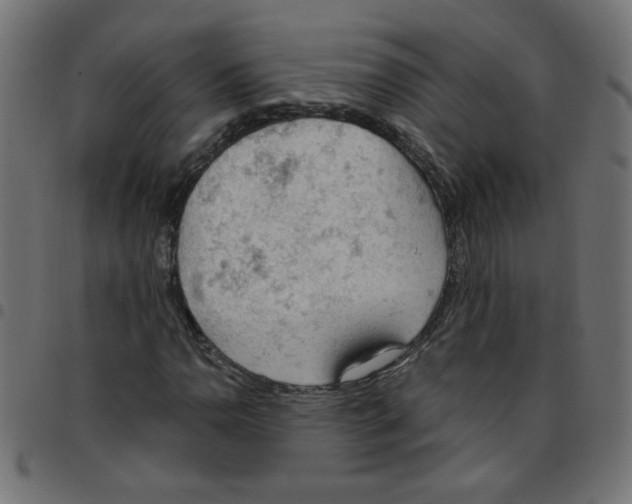 X0000096951110200803071022